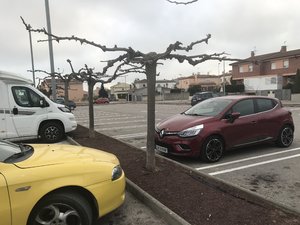 4EC4B504-897C-4348-891F-6E45D1E0D40A.jpeg 4EC4B504-897C-4348-891F-6E45D1E0D40A.jpeg