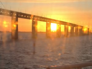 IMG_20200315_063426.jpg IMG_20200315_063426.jpg