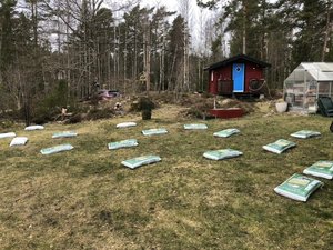 F3DD8F0D-26A7-4F0E-A0A9-77A1D9B00AC0.jpeg F3DD8F0D-26A7-4F0E-A0A9-77A1D9B00AC0.jpeg