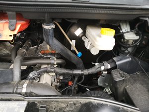 IMG_20200329_132745.jpg IMG_20200329_132745.jpg