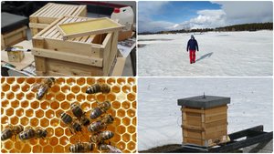 Collage_Fotor.jpg Collage_Fotor.jpg