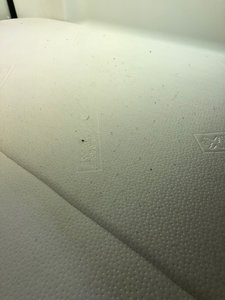 IMG_1728.jpg