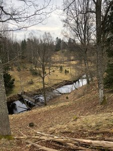 Naturreservatet Lekeberga-Sälven