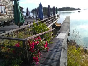 IMG_20190805_094646.jpg IMG_20190805_094646.jpg