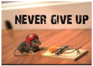 1586449585137.png 1586449585137.png