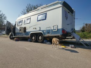 IMG_20200410_170552.jpg IMG_20200410_170552.jpg