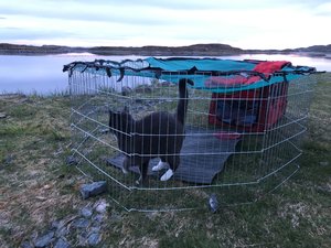 0E8A2586-84AE-46B6-92F4-F70C3FFF7402.jpeg 0E8A2586-84AE-46B6-92F4-F70C3FFF7402.jpeg