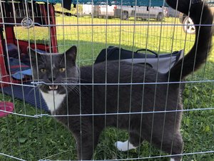 401AB558-50B5-4AB5-AC0F-1C868E85A639.jpeg 401AB558-50B5-4AB5-AC0F-1C868E85A639.jpeg