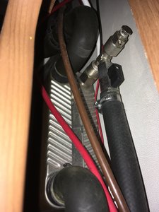 DCE2C94A-9EF1-4300-90AD-AE085F1001A1.jpeg DCE2C94A-9EF1-4300-90AD-AE085F1001A1.jpeg