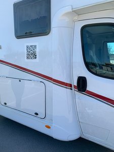 Vildsvin och konungagrav