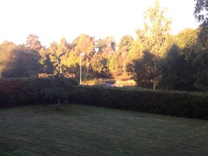 010.JPG