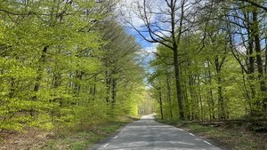 19966855-DD0C-48E5-8A61-5736D7B78419.jpeg 19966855-DD0C-48E5-8A61-5736D7B78419.jpeg