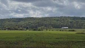 998C66C1-F23A-4AF1-B91C-6676846CA2C0.jpeg 998C66C1-F23A-4AF1-B91C-6676846CA2C0.jpeg