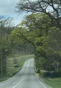 06F0E3D4-703E-425C-9591-4CFB1DD0AE79.jpeg 06F0E3D4-703E-425C-9591-4CFB1DD0AE79.jpeg