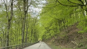 0EA38319-548C-41FD-A69D-1D4EAE018463.jpeg 0EA38319-548C-41FD-A69D-1D4EAE018463.jpeg