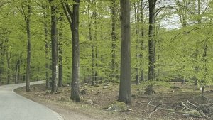 6990C71A-71AB-427A-A7A2-D0523706D7A9.jpeg 6990C71A-71AB-427A-A7A2-D0523706D7A9.jpeg