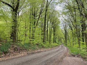 AC3FD964-A3DC-4AE9-9C9F-ABFA7D378C54.jpeg AC3FD964-A3DC-4AE9-9C9F-ABFA7D378C54.jpeg