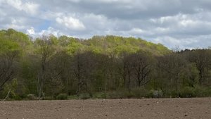 71D699A6-FEC5-4422-A67B-2DB9BB6D5BD1.jpeg 71D699A6-FEC5-4422-A67B-2DB9BB6D5BD1.jpeg