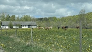 26210D7A-5EA3-4F24-8112-7C759D06BB0D.jpeg 26210D7A-5EA3-4F24-8112-7C759D06BB0D.jpeg