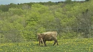 B4E9BF49-8A95-4823-8BEC-444D0EB2AAFC.jpeg B4E9BF49-8A95-4823-8BEC-444D0EB2AAFC.jpeg