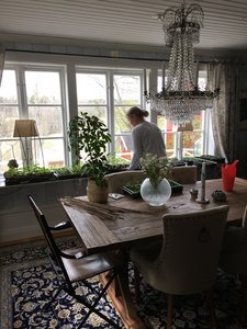 271E4F19-C469-4262-BB38-7215F927D59B.jpeg 271E4F19-C469-4262-BB38-7215F927D59B.jpeg