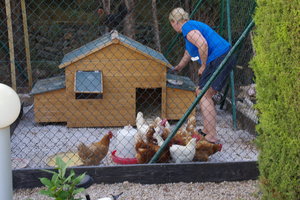 IMGP6551.JPG IMGP6551.JPG