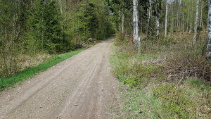 30 Döda byn Spångabron.jpg