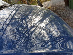 20200505_173829.jpg 20200505_173829.jpg