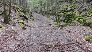 44 Kastagropen och Predikstolen.jpg 44 Kastagropen och Predikstolen.jpg