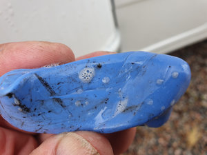 20200507_144422.jpg 20200507_144422.jpg