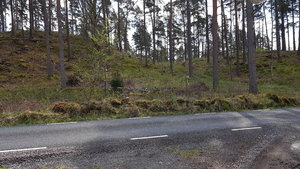 58 Bagga-Sven.jpg 58 Bagga-Sven.jpg