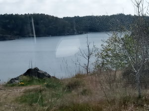 IMG_20200508_135850.jpg
