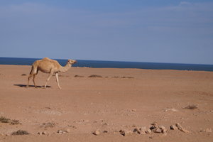 Kharifir land 003.JPG