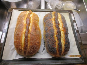 IMG_4389.JPG