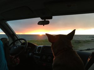 IMG_0571.jpg