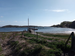 IMG_20200516_162426.jpg