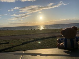 84215B1D-7EA4-4A0E-ACDD-03D58D5CB427.jpeg