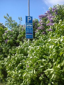 DSC_0024.jpg DSC_0024.jpg