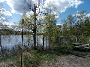 IMG_20200519_153834.jpg