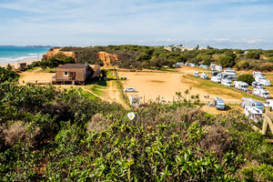 P1020237ahbk.jpg