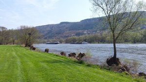 2016-04-11 14.06.34.jpg