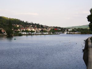 F 245.jpg