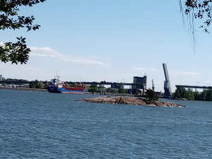 IMG_20200530_155532.jpg