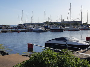 20200601_184226 (1).jpg