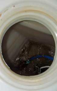 20200603_141831.jpg 20200603_141831.jpg