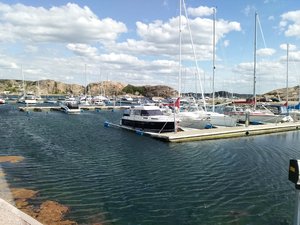 IMG_20200604_160116.jpg
