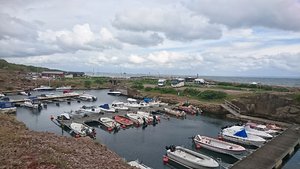DSC_5405.JPG