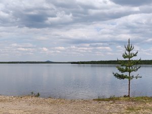 IMG_20200615_153416.jpg
