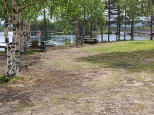 IMG_20200615_153314.jpg