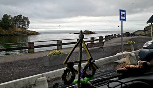 20200616_172848.jpg
